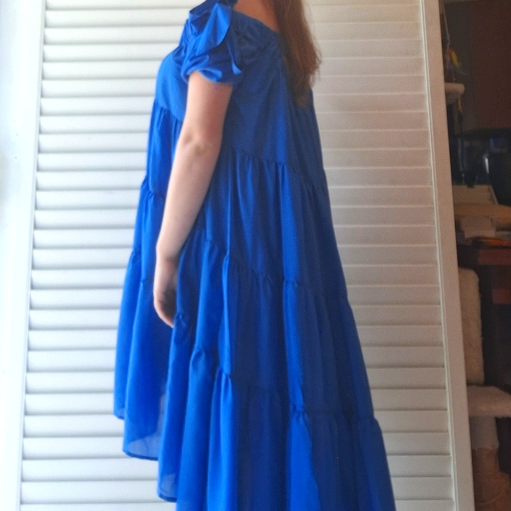 Anthropologie Blue Ruffled Chiffon High-Low Dress - Picture 3 of 16